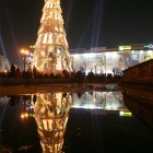 Christmas tree reflected