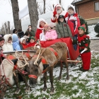 reindeer sledge