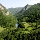 tara valley